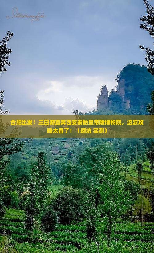 合肥到西安秦始皇帝陵博物院三日游