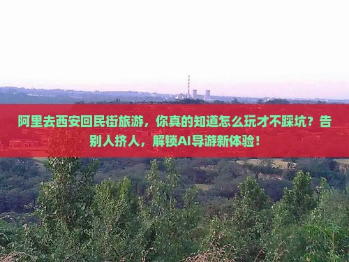 阿里去西安回民街旅游