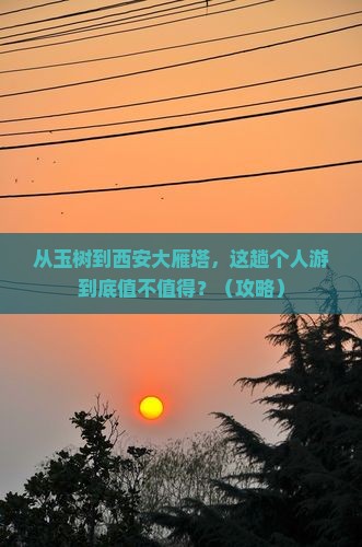 玉树到西安大雁塔个人游