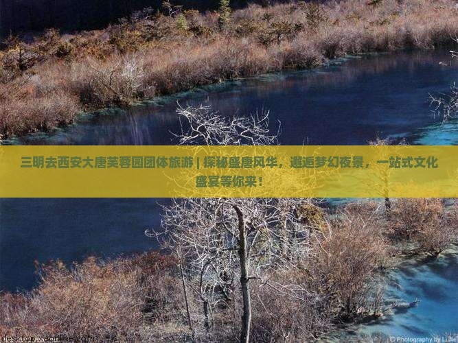 三明去西安大唐芙蓉园团体旅游