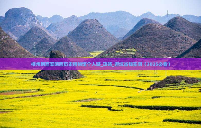 柳州到西安陕西历史博物馆个人游