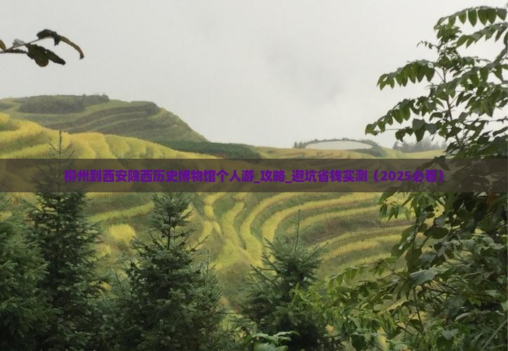 柳州到西安陕西历史博物馆个人游