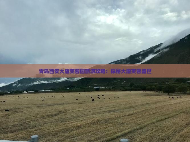 青岛去西安大唐芙蓉园一日游