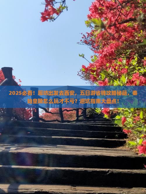 廊坊到西安秦始皇帝陵博物院五日游