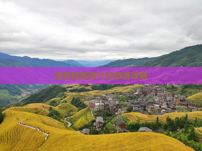 八月到西安回民街六日游