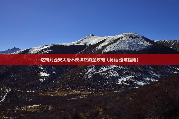达州去西安大唐不夜城自由团