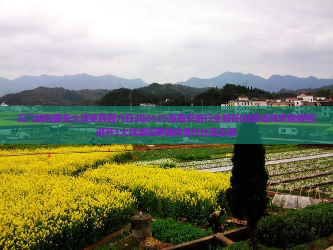 三门峡到西安大唐芙蓉园六日游