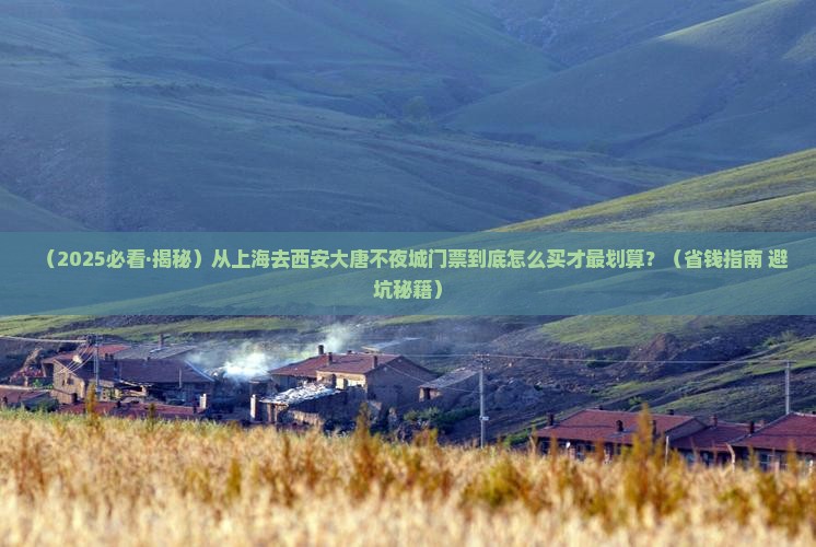 上海去西安大唐不夜城门票