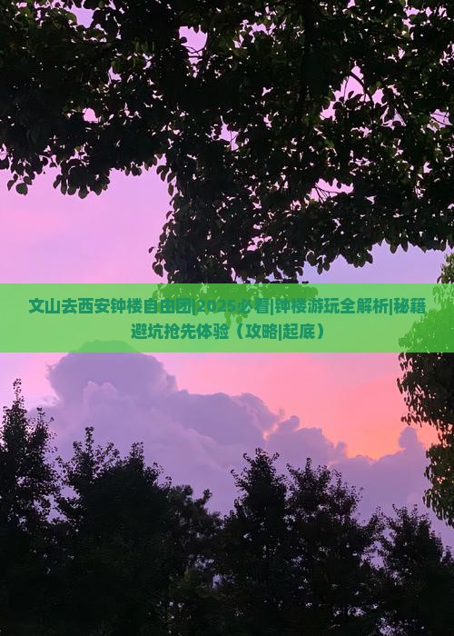 文山去西安钟楼自由团