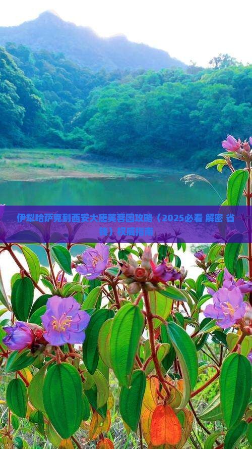 伊犁哈萨克到西安大唐芙蓉园攻略