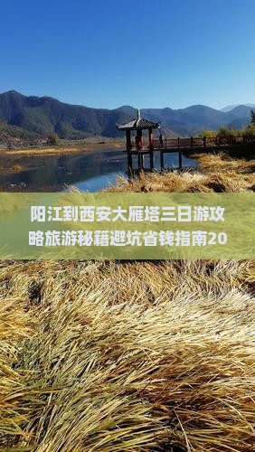 阳江到西安大雁塔三日游