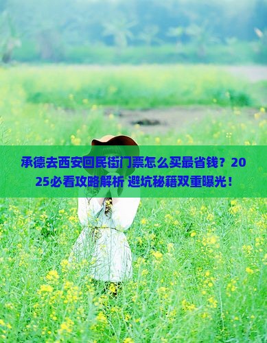 承德去西安回民街门票