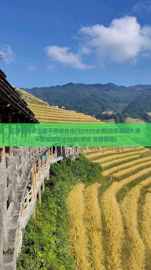 辽源去西安大唐不夜城自由行