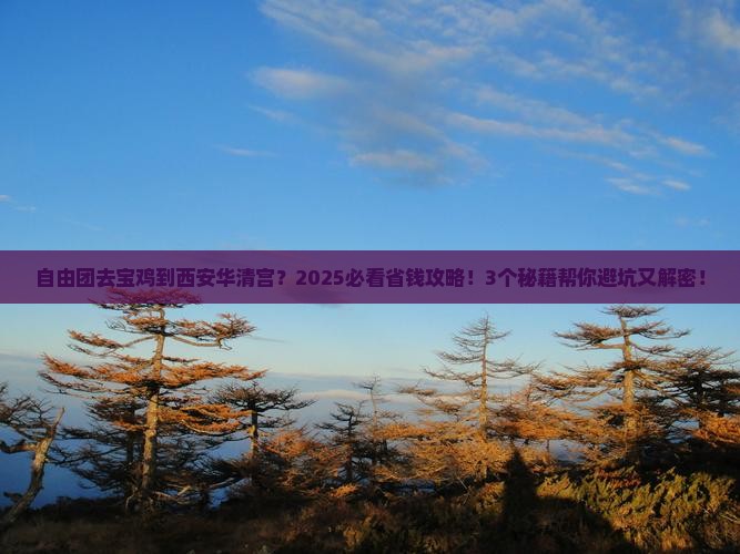 宝鸡到西安华清宫自由团