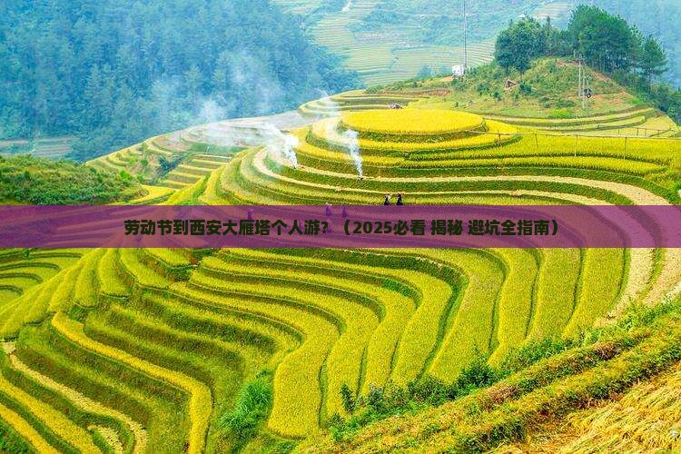 劳动节到西安大雁塔个人游