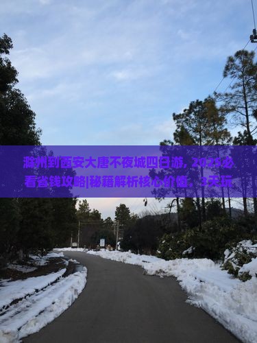 滁州到西安大唐不夜城四日游
