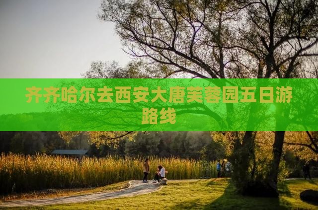齐齐哈尔去西安大唐芙蓉园五日游