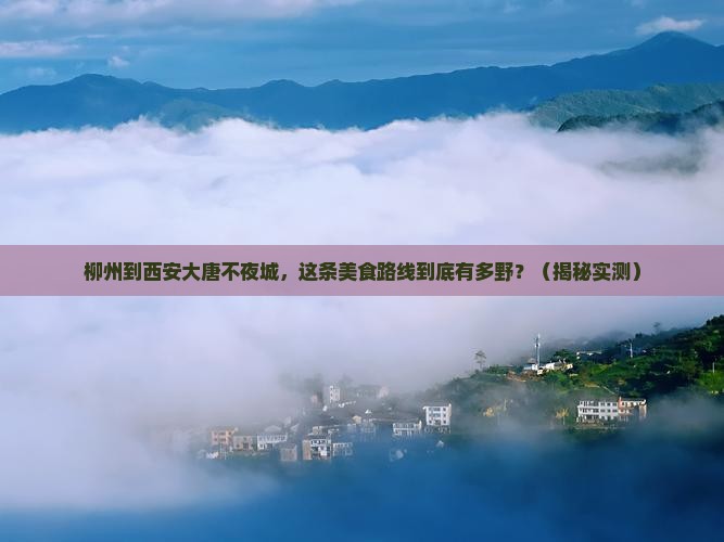 柳州到西安大唐不夜城旅游小吃