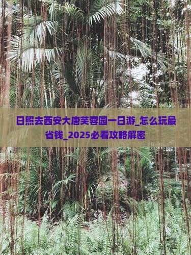 日照去西安大唐芙蓉园一日游