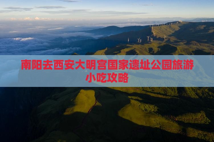 南阳去西安大明宫国家遗址公园旅游小吃