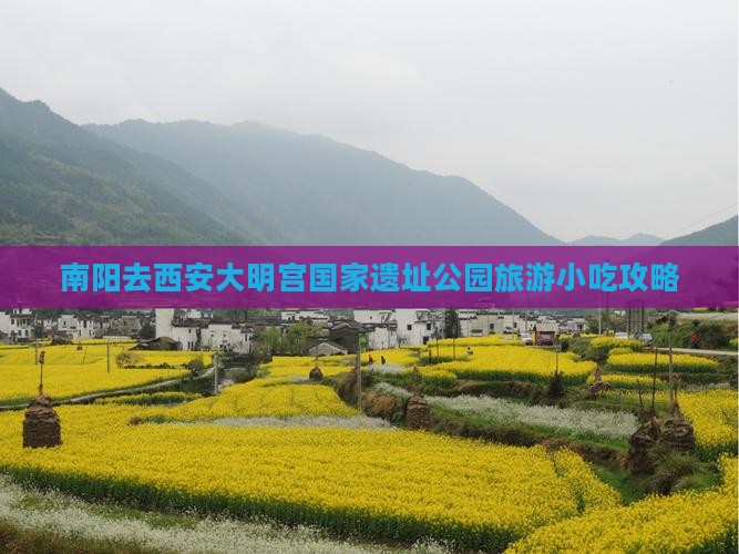 南阳去西安大明宫国家遗址公园旅游小吃