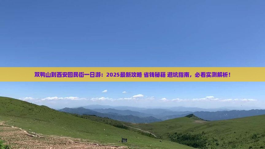 双鸭山到西安回民街一日游