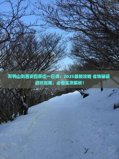 双鸭山到西安回民街一日游