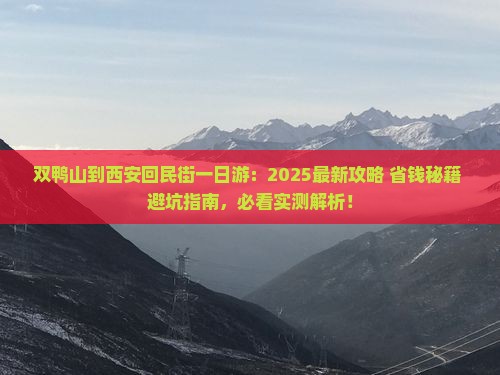 双鸭山到西安回民街一日游