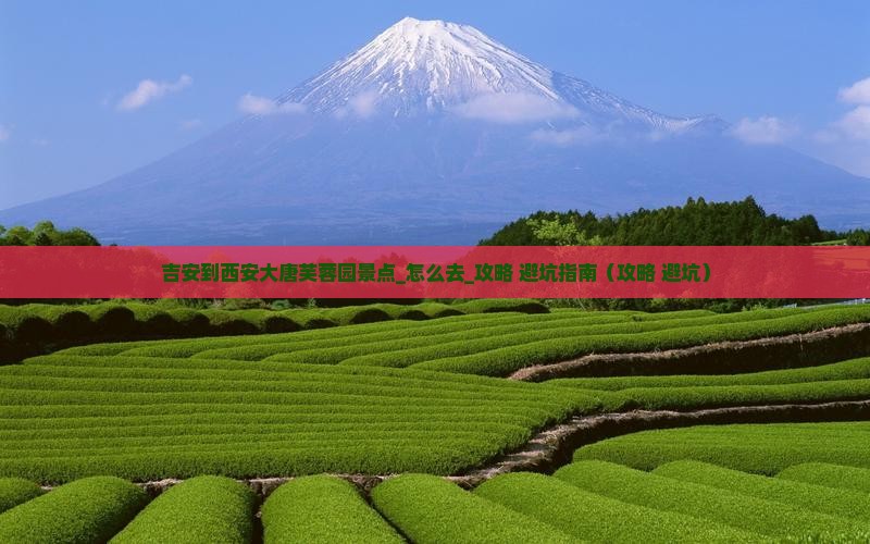 吉安到西安大唐芙蓉园景点