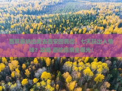 西双版纳去西安回民街七日游