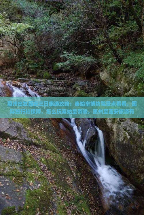 惠州去西安秦始皇帝陵博物院三日游