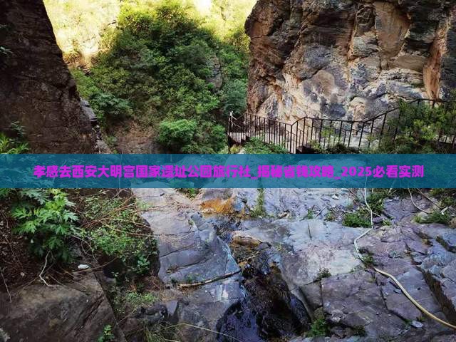 孝感去西安大明宫国家遗址公园旅行社