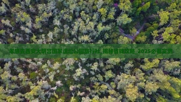 孝感去西安大明宫国家遗址公园旅行社