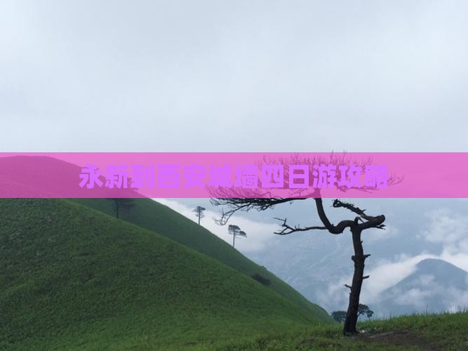 永新到西安城墙四日游