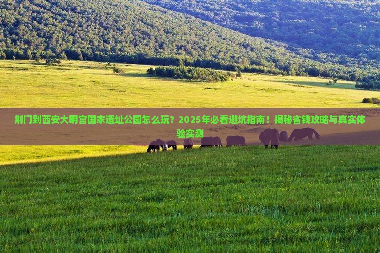 荆门到西安大明宫国家遗址公园旅游