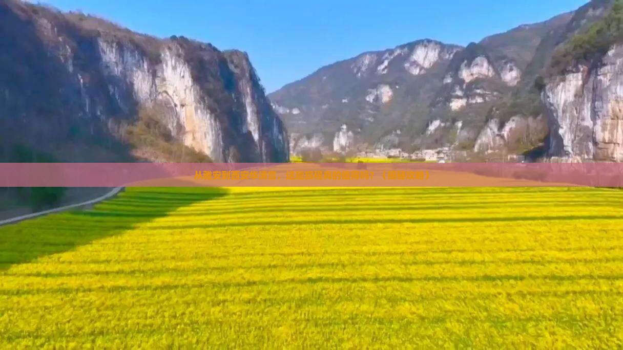 雅安去西安华清宫旅游