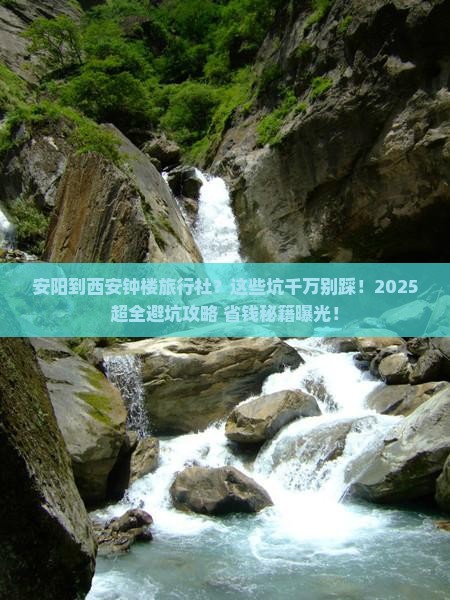 安阳到西安钟楼旅行社