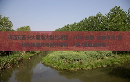 鸡西到西安大雁塔大型旅游团