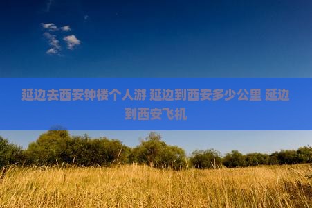 延边去西安钟楼个人游