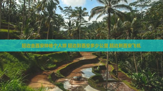 延边去西安钟楼个人游