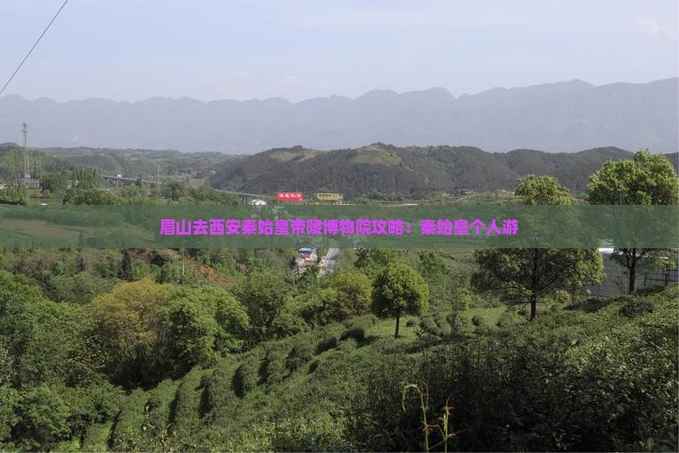 眉山去西安秦始皇帝陵博物院个人游
