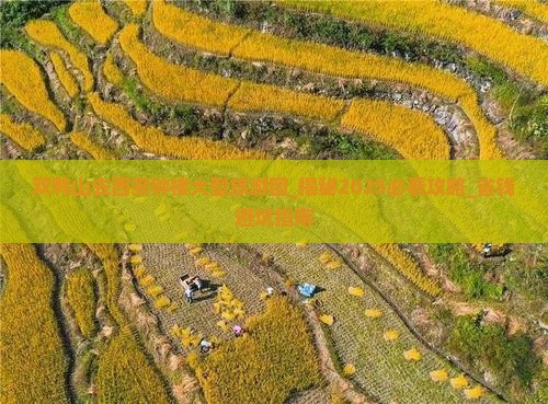 双鸭山去西安钟楼大型旅游团