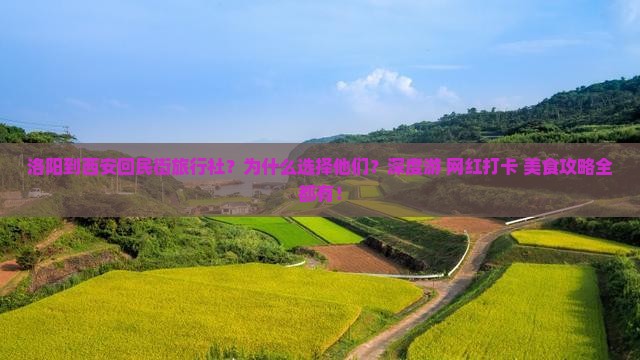 洛阳到西安回民街旅行社