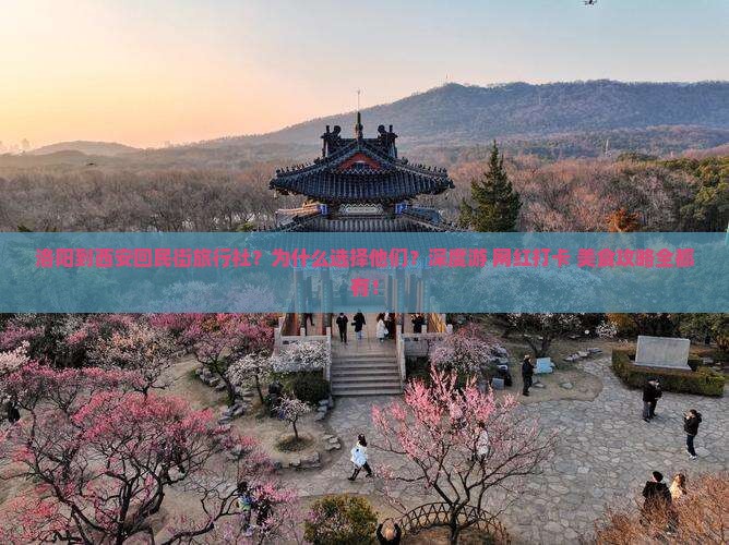 洛阳到西安回民街旅行社