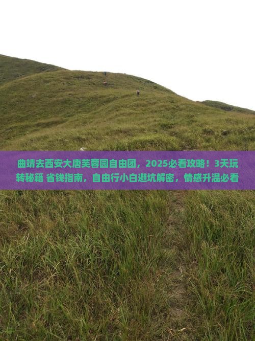 曲靖去西安大唐芙蓉园自由团