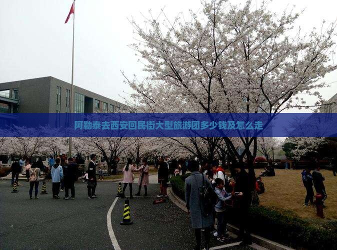 阿勒泰去西安回民街大型旅游团