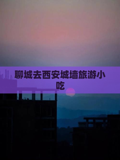 聊城去西安城墙旅游小吃