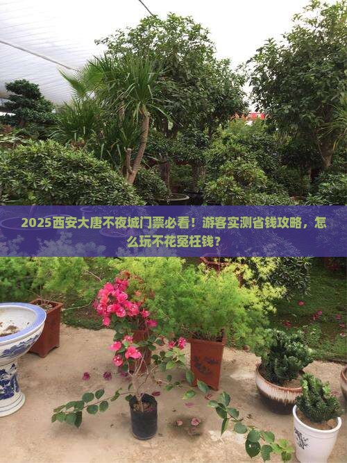 呼伦贝尔去西安大唐不夜城门票