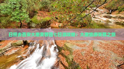 日照去西安大唐芙蓉园七日游