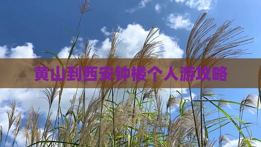 黄山到西安钟楼个人游